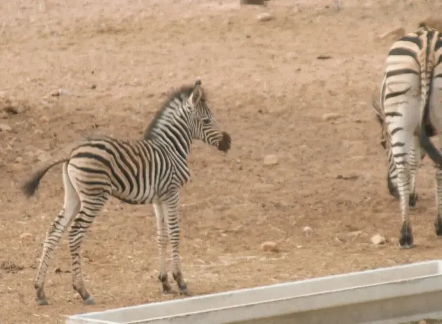 Zwartberg View Mountain Lodge