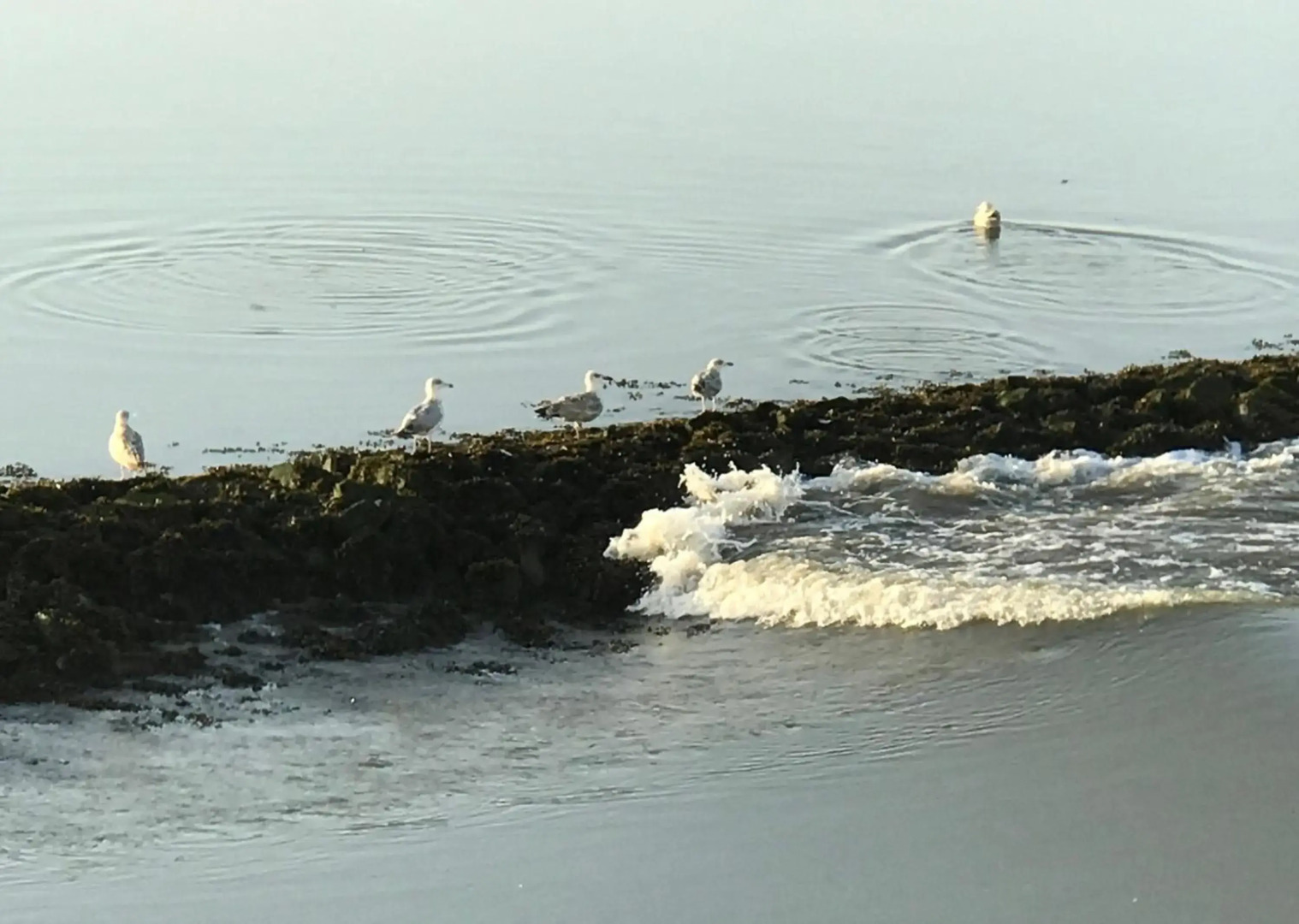 Ferienwohnung Ausguck