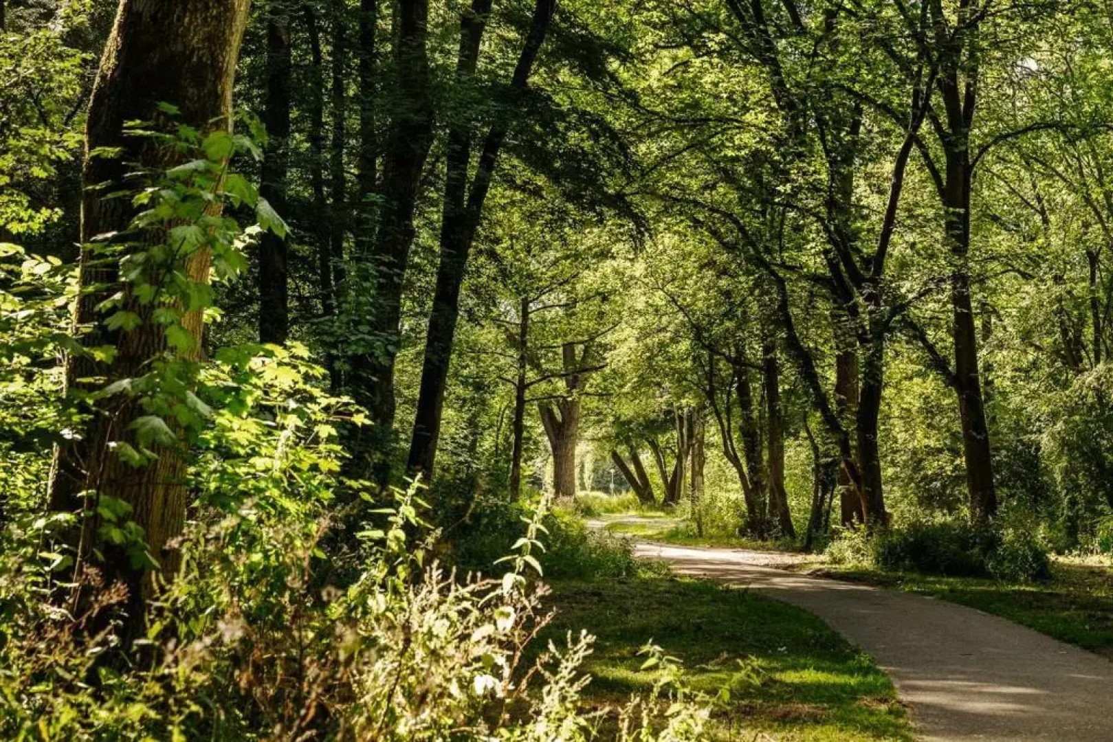 The Quay Amsterdam-Noord - FREE PARKING