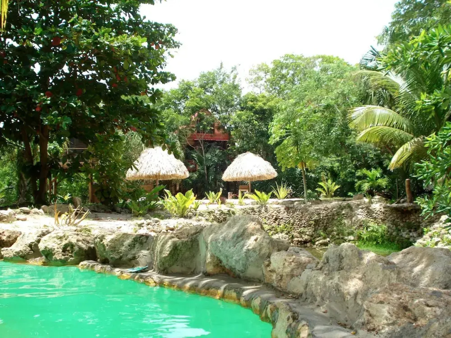 Serenity Retreats Belize -A Vegan Resort
