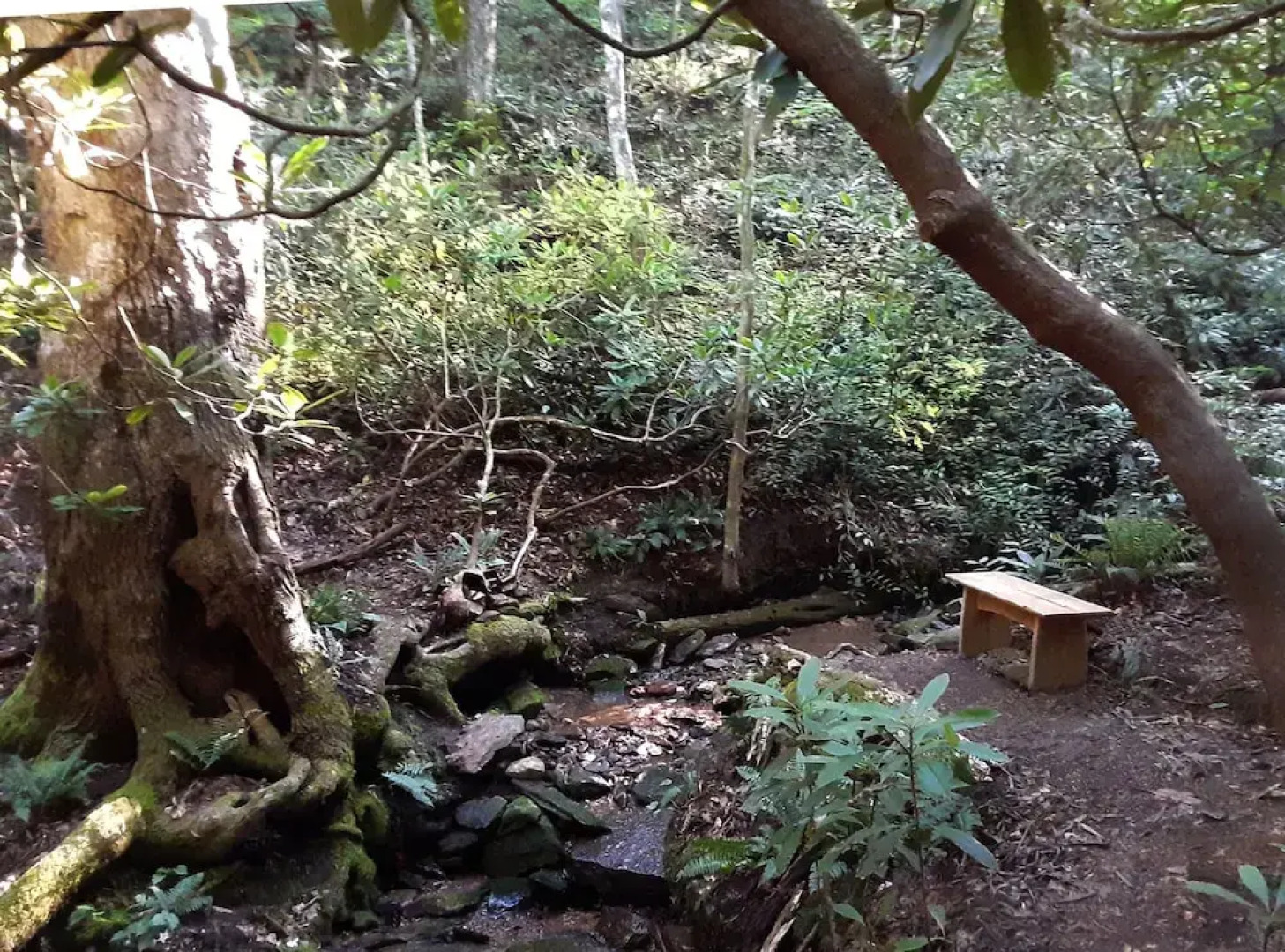 90presow 3 Bedroom Cabin