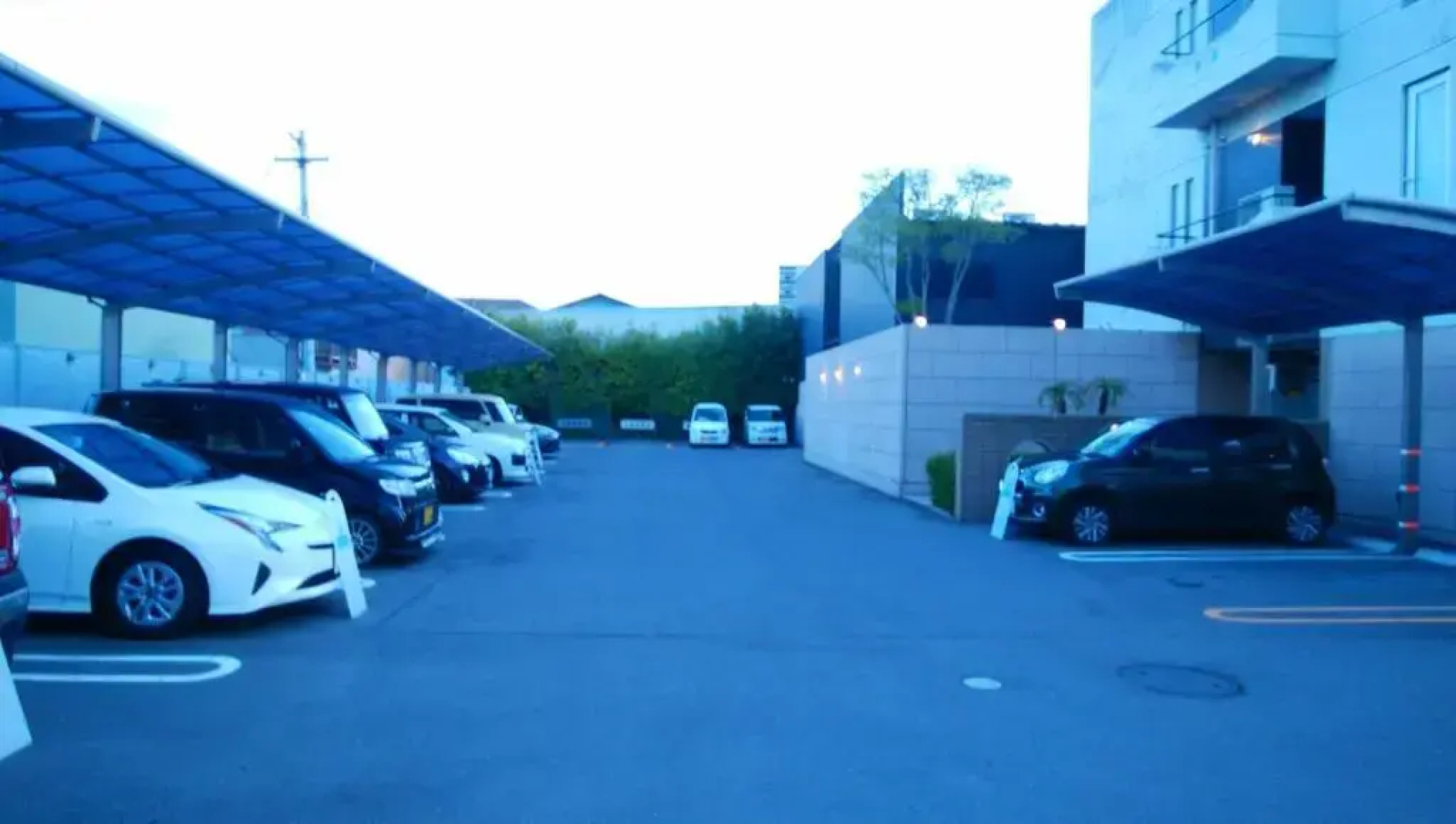 LA.FESTA - Adults Only