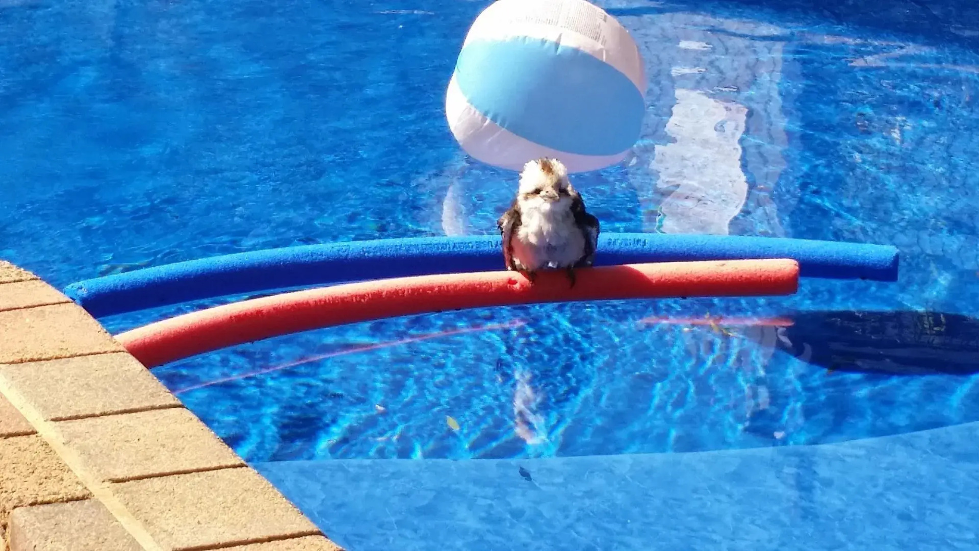 The Coachman Motel & Units