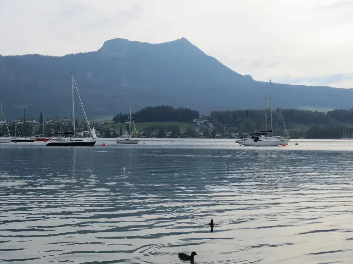 Romantik am Mühlbach