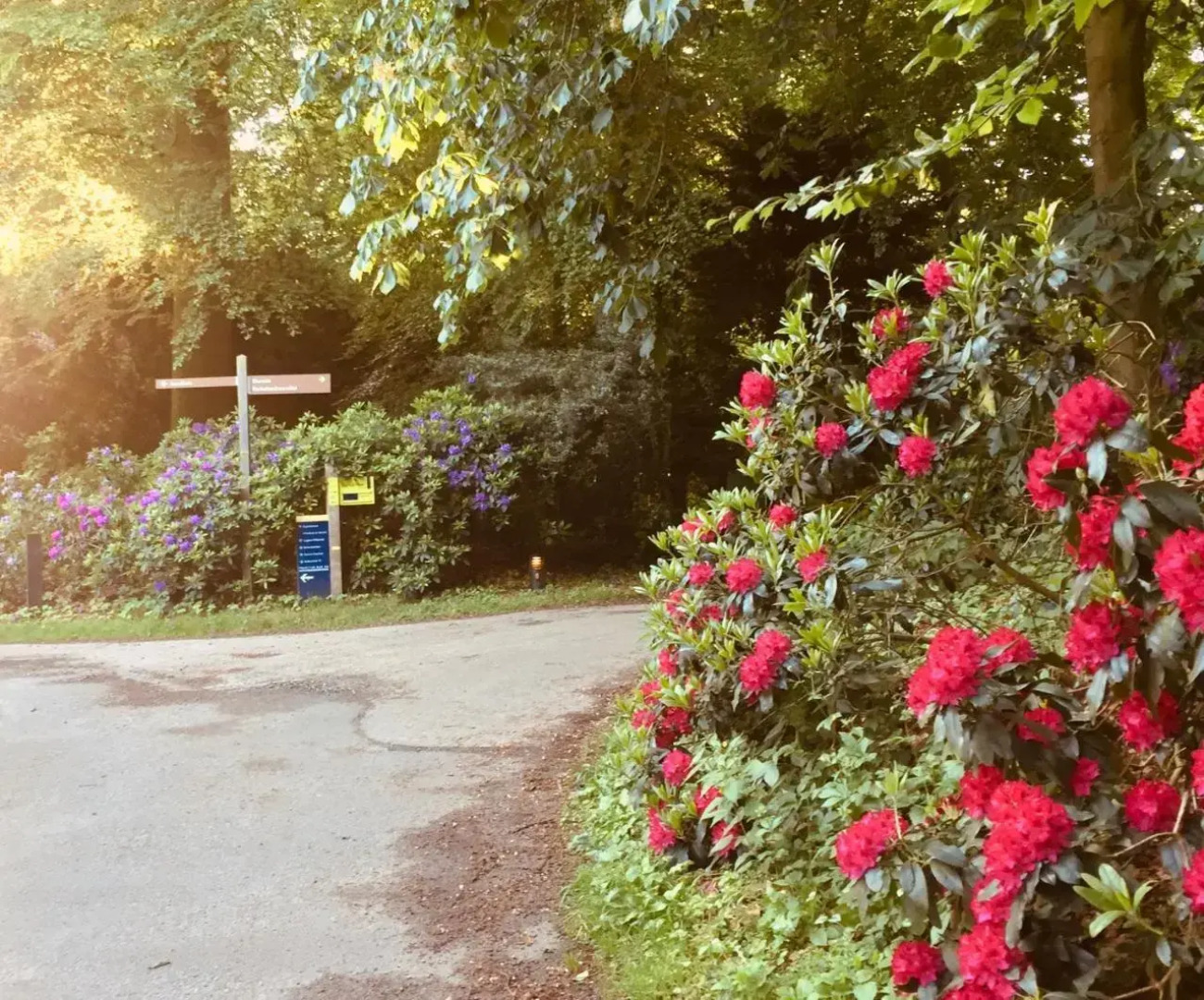 Art Bed and Breakfast