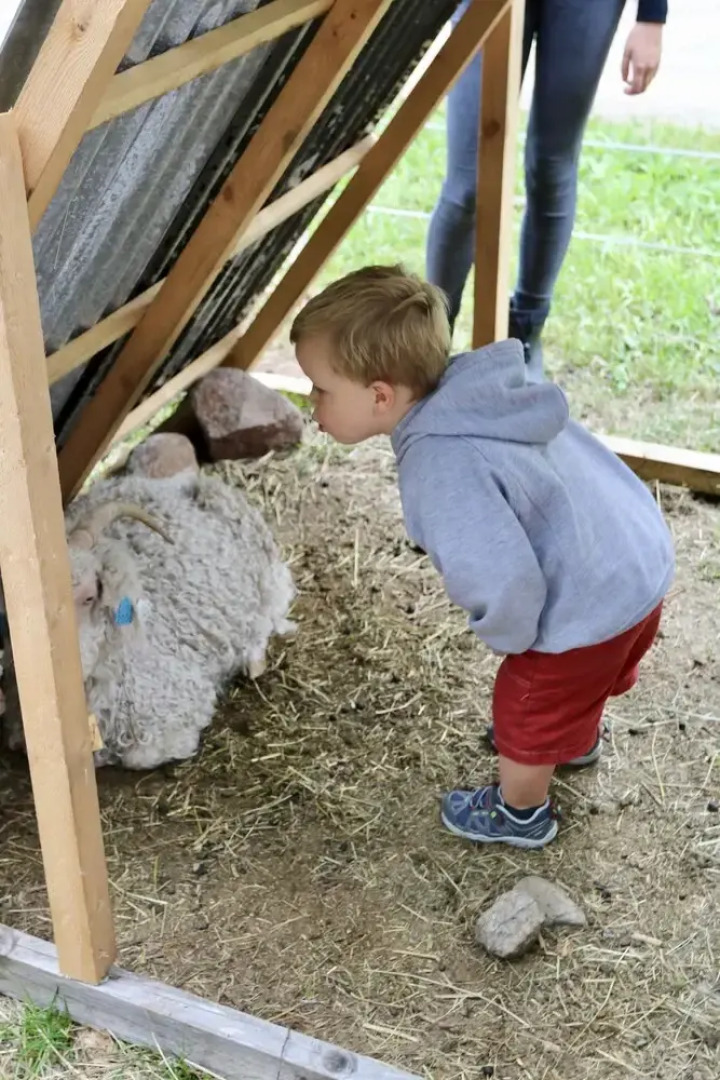 Telemark Inn - Hytte