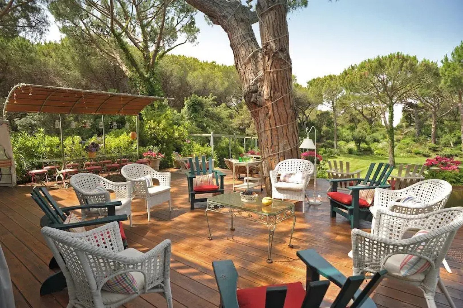 Beach Front Limonaia