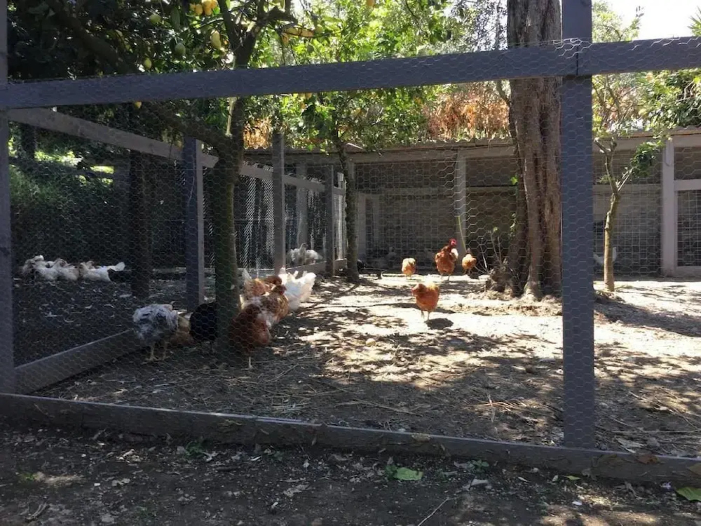 Agriturismo Il Convento