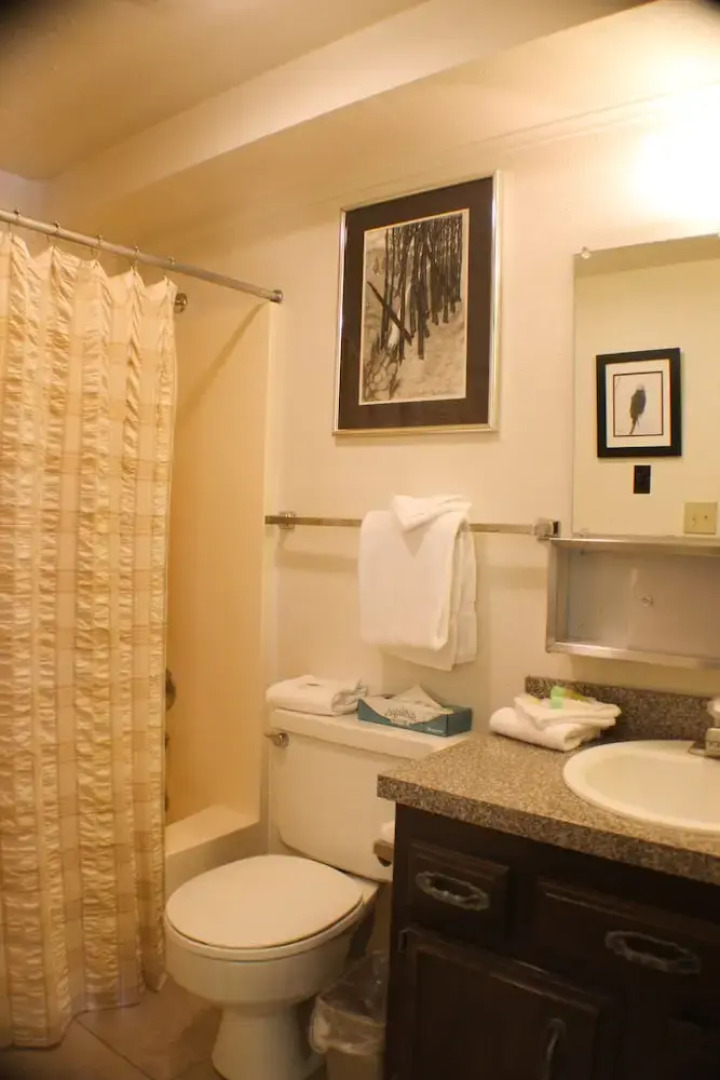 Chateaux Condominiums By Crested Butte Lodging