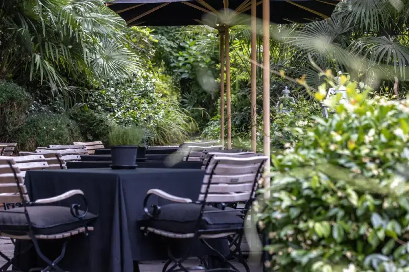 Safari Luxus Lodge - Meisters Hotel Irma