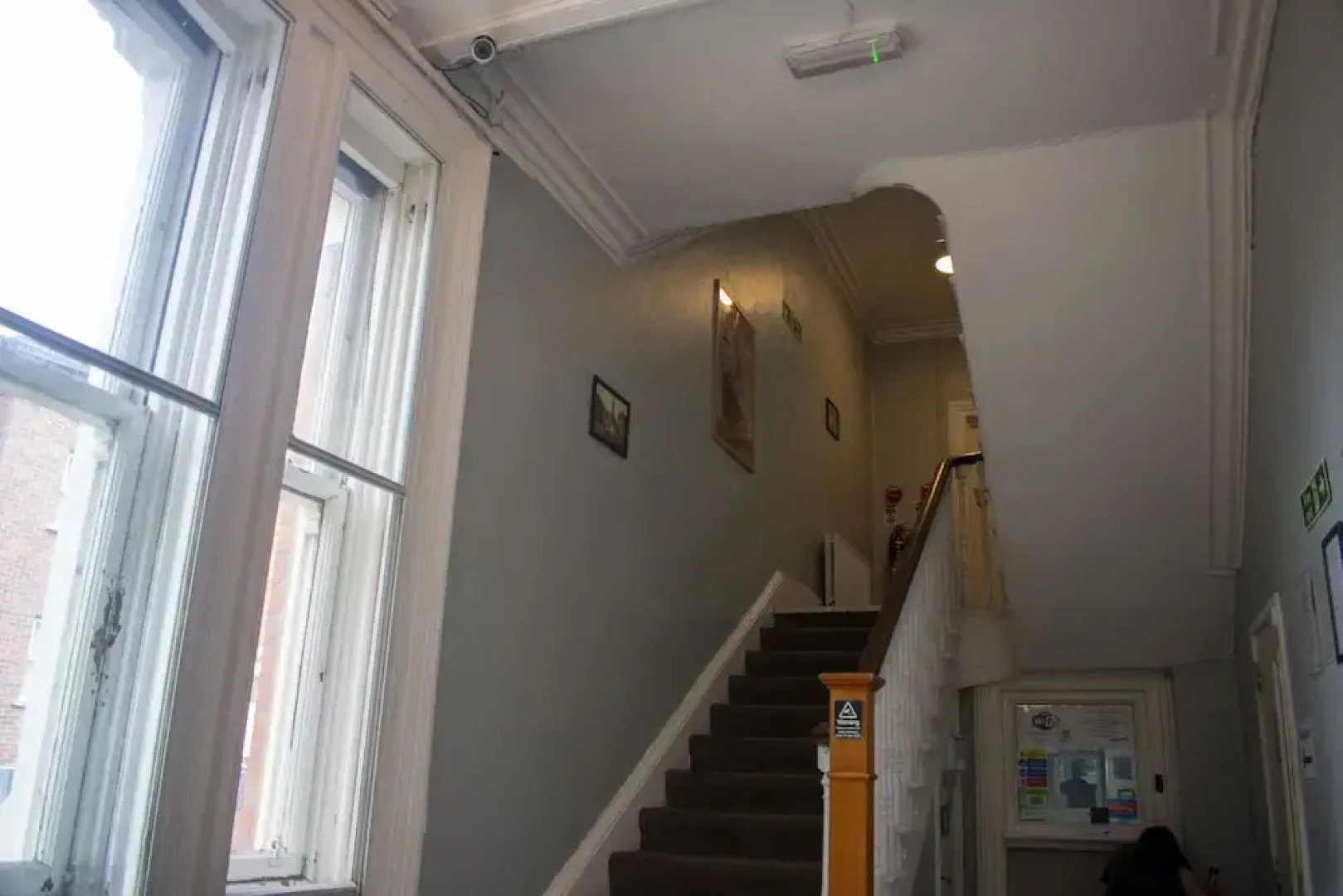 Paddys Palace Belfast