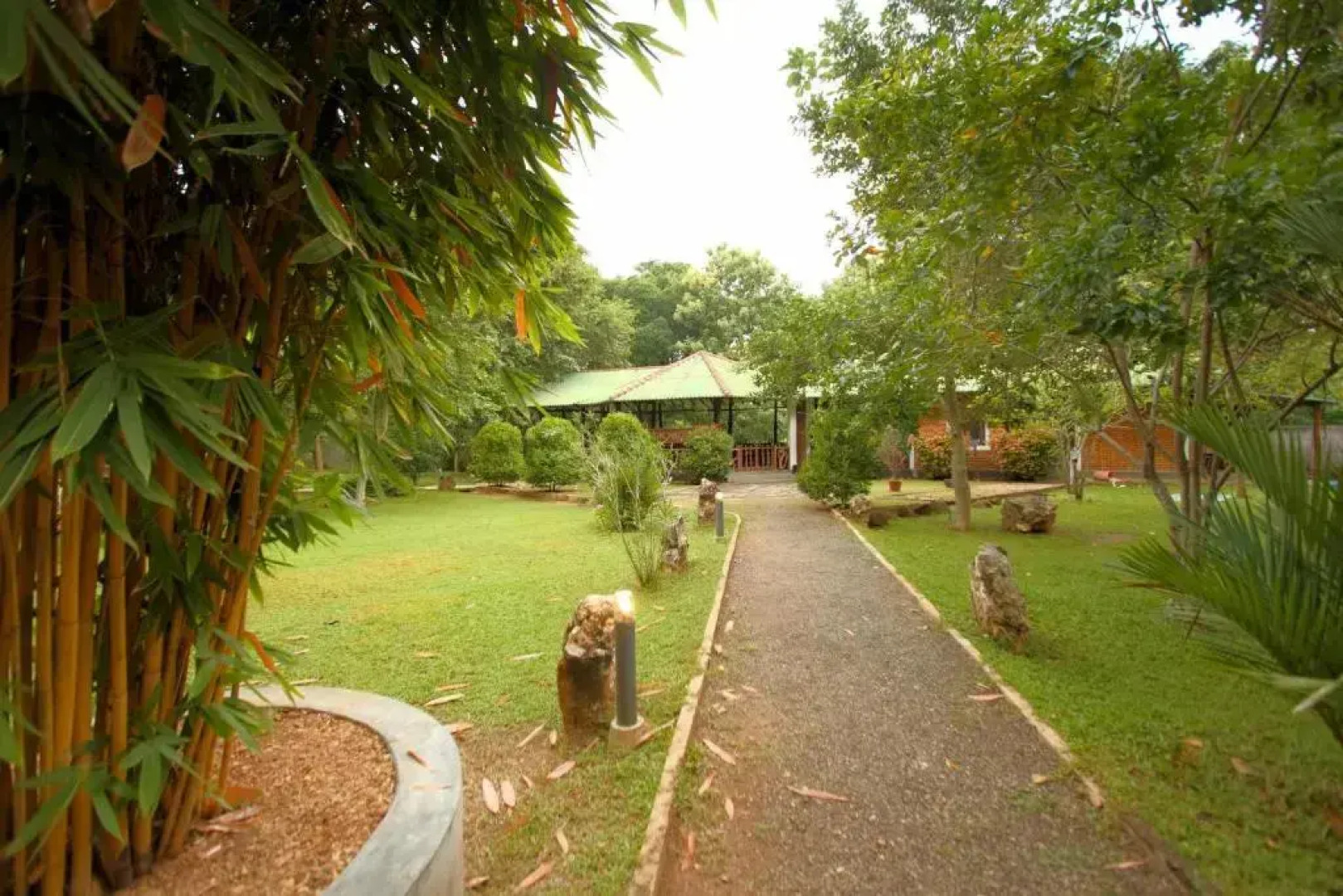 mastodon valley safari resort