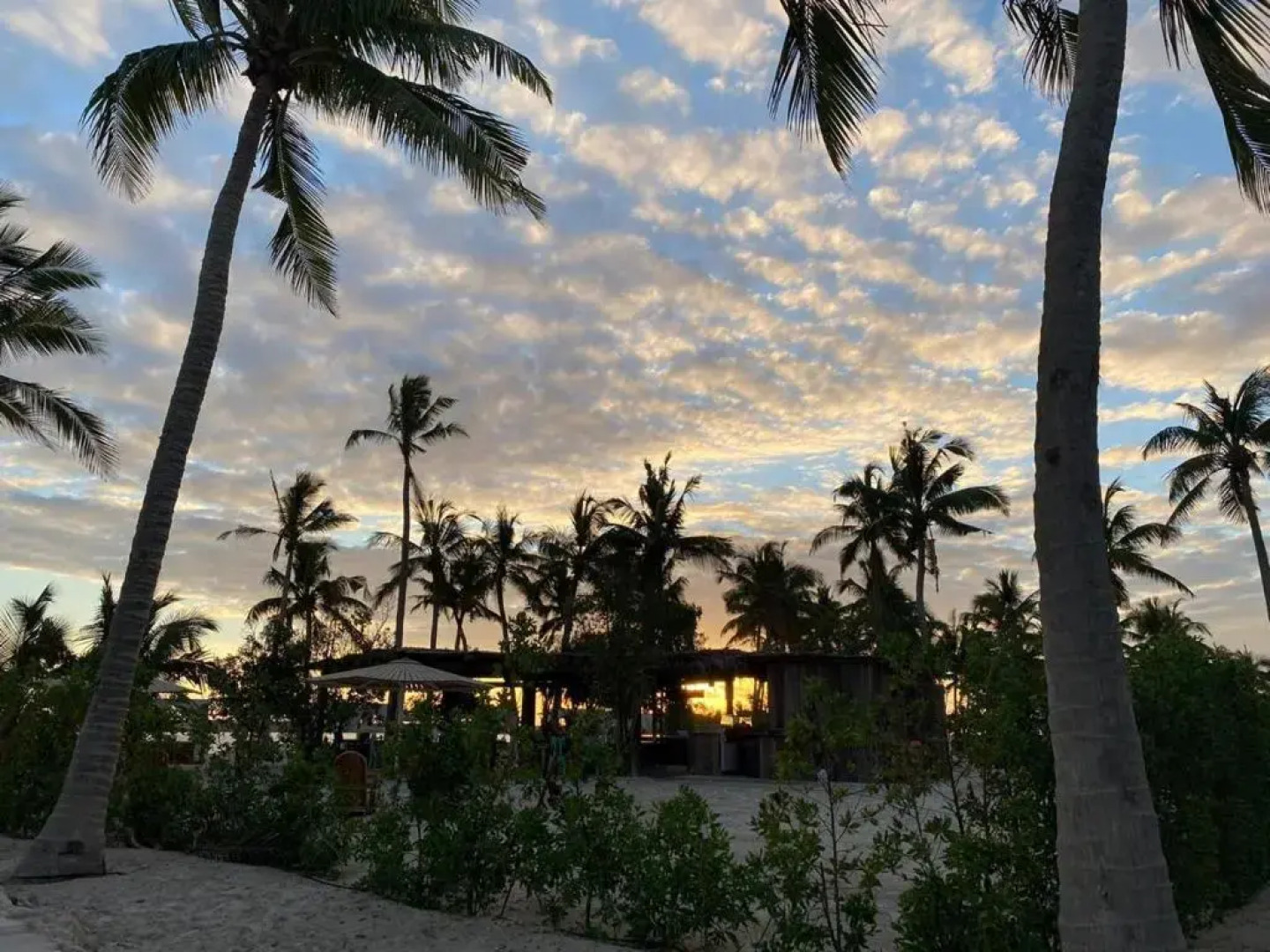 Purple Lily Studio Hawana Lagoons Salalah