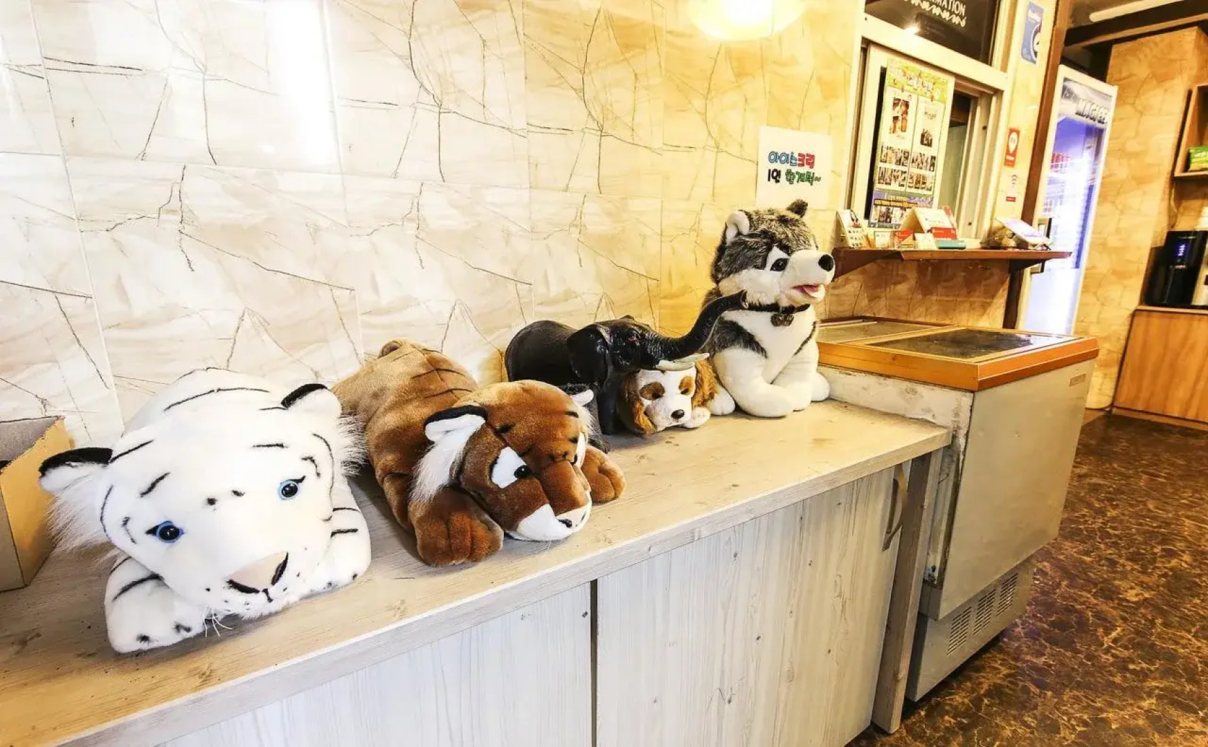 Chuncheon Hotel View