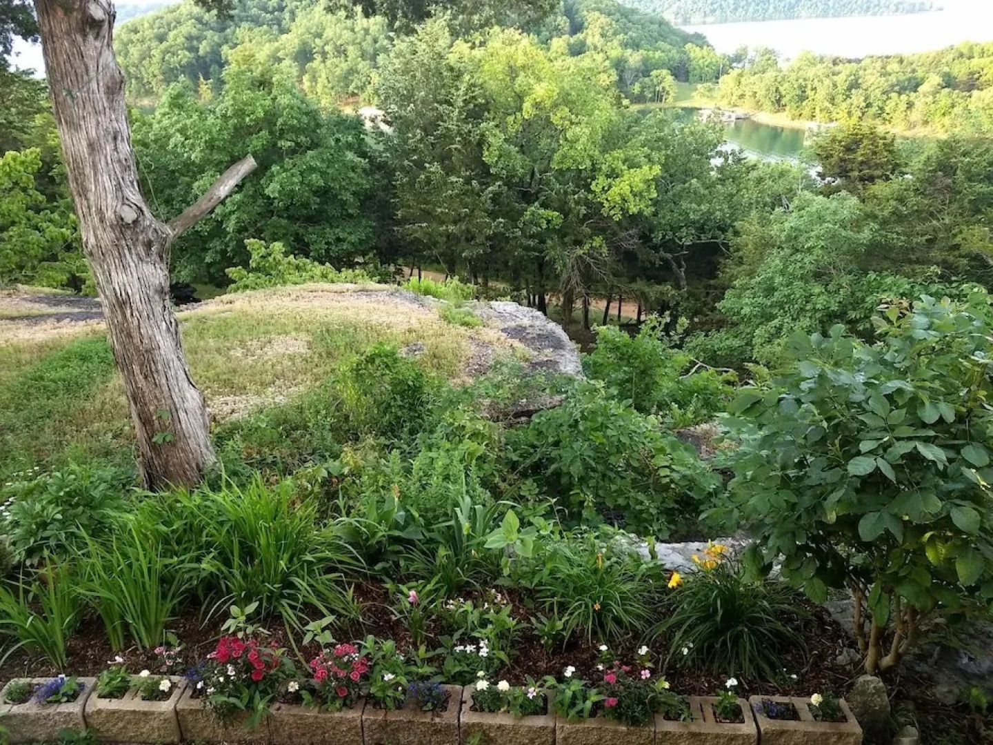 Beaver Lake Heavenly Hideaway B&B