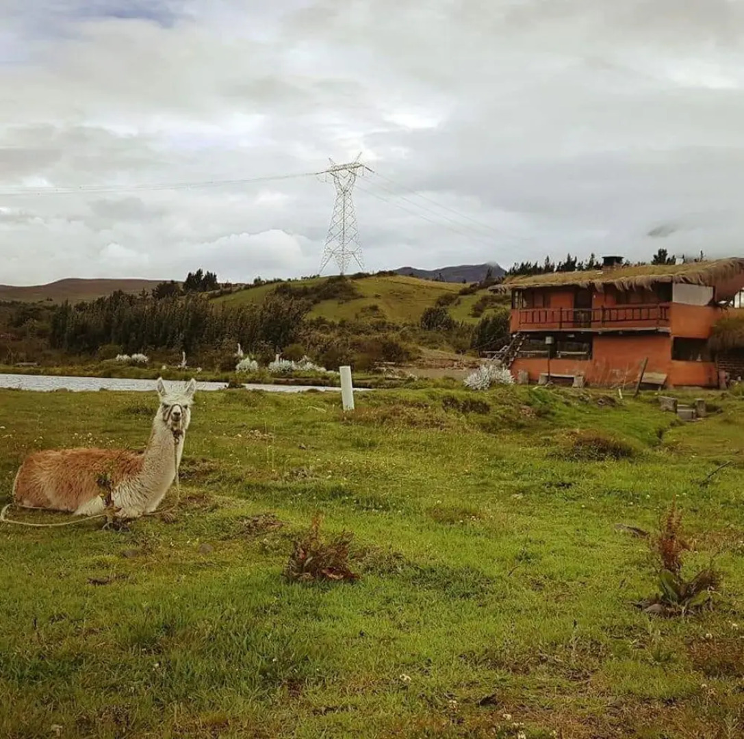 Mauca Pedregal - Hostel