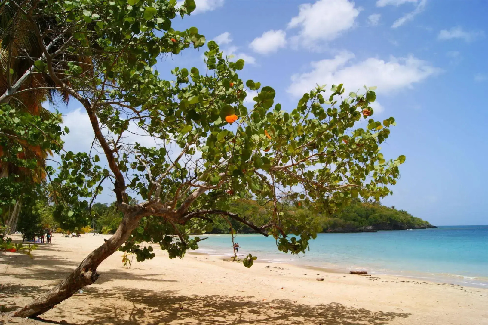 La Casa de Sergio y Cristina