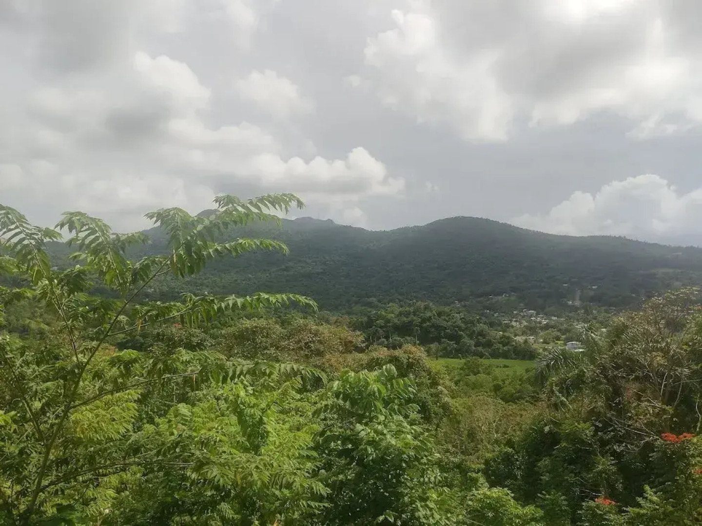 Tropical Breeze Escapes Couples Studio