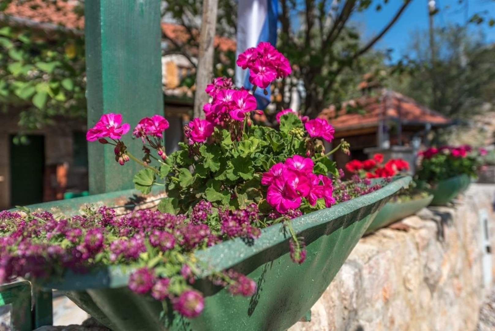 Holiday house Role - retro & afordable: Starigrad-Paklenica, Zadar riviera