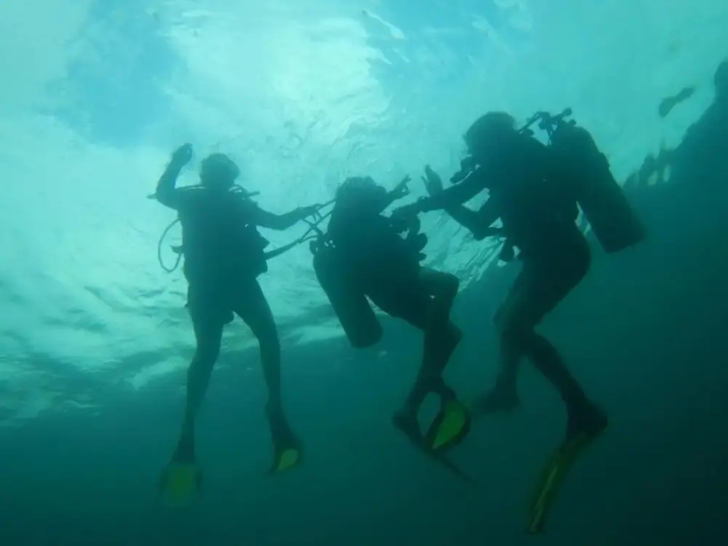 Richmond Vale Diving and Hiking Center - Hostel