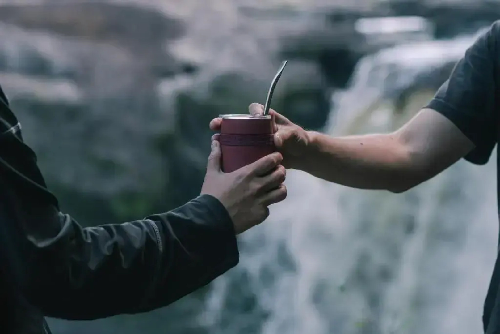 Lodge Parque Tepuhueico