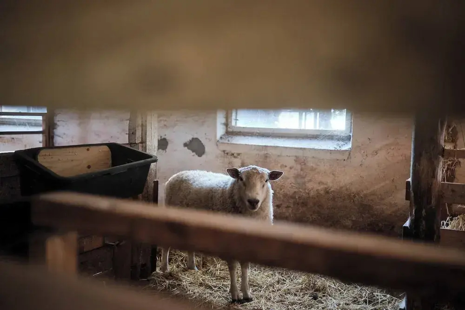 Askegaarden Apartments