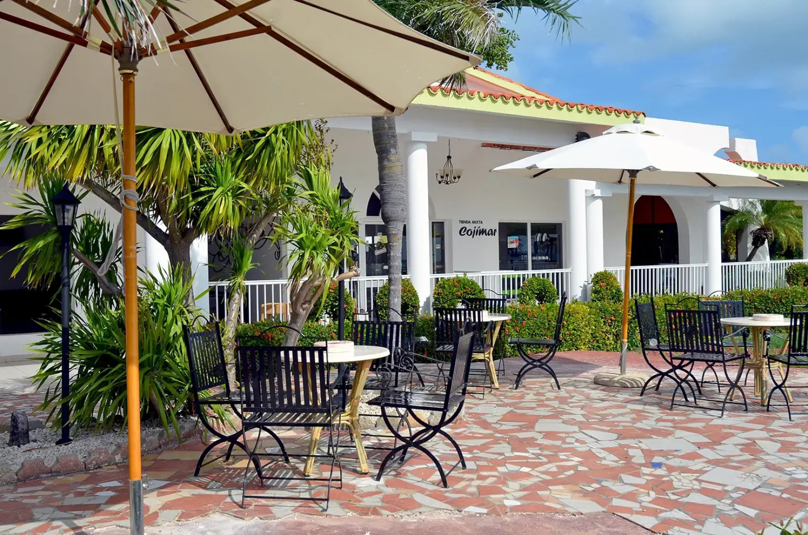 Starfish Cayo Guillermo