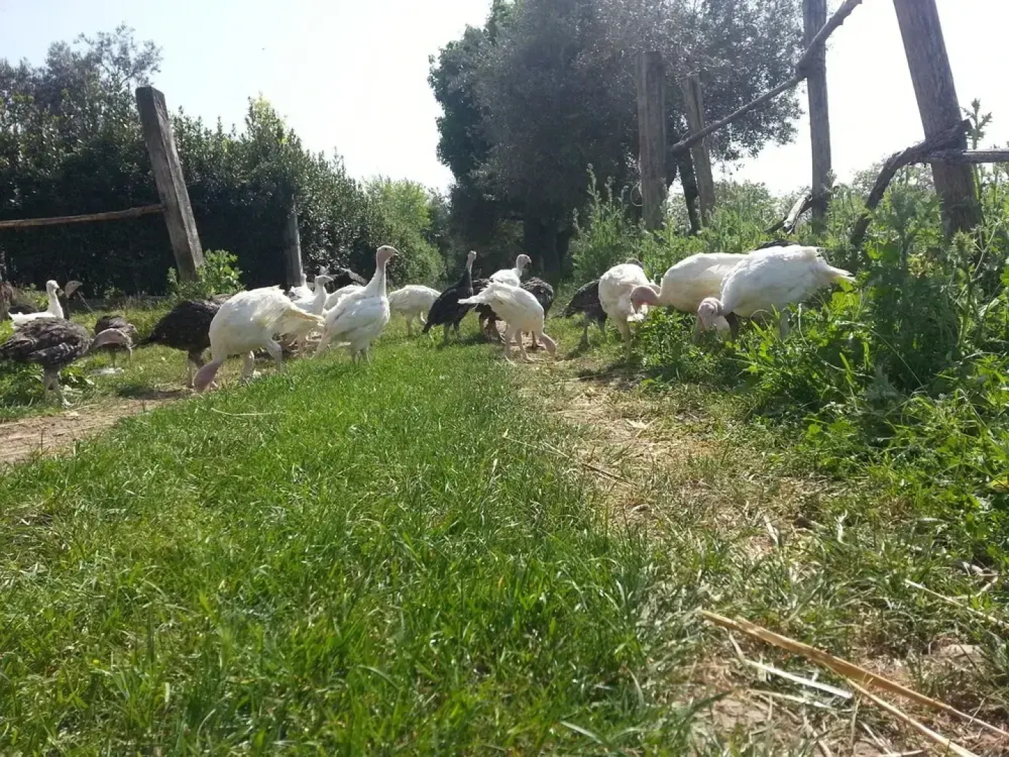 BioAgriturismo Santa Felicita