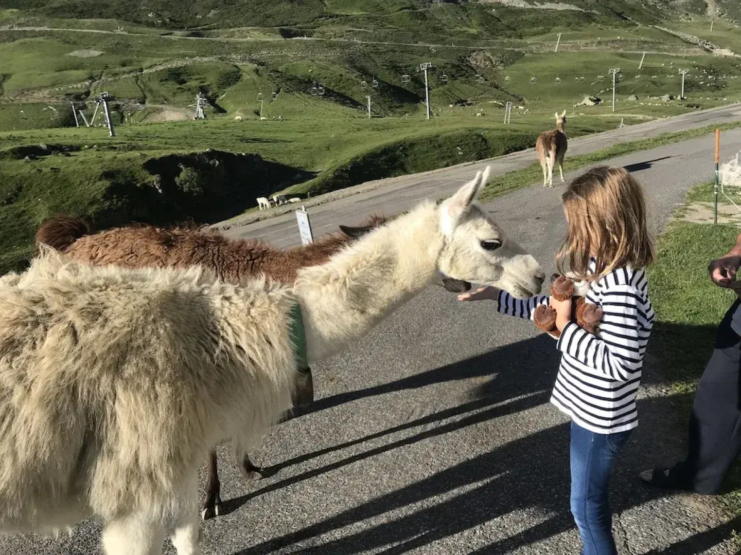 Gite Bel Air La Mongie