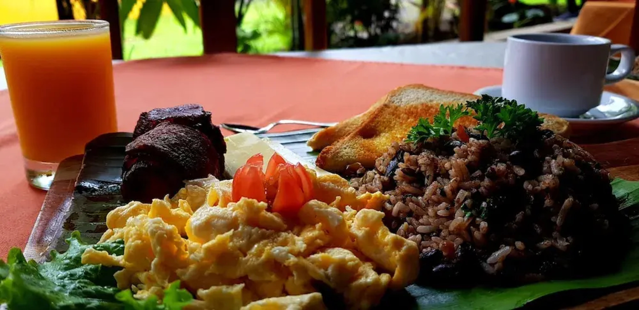 Hotel Heliconias Nature Inn & Hot Springs