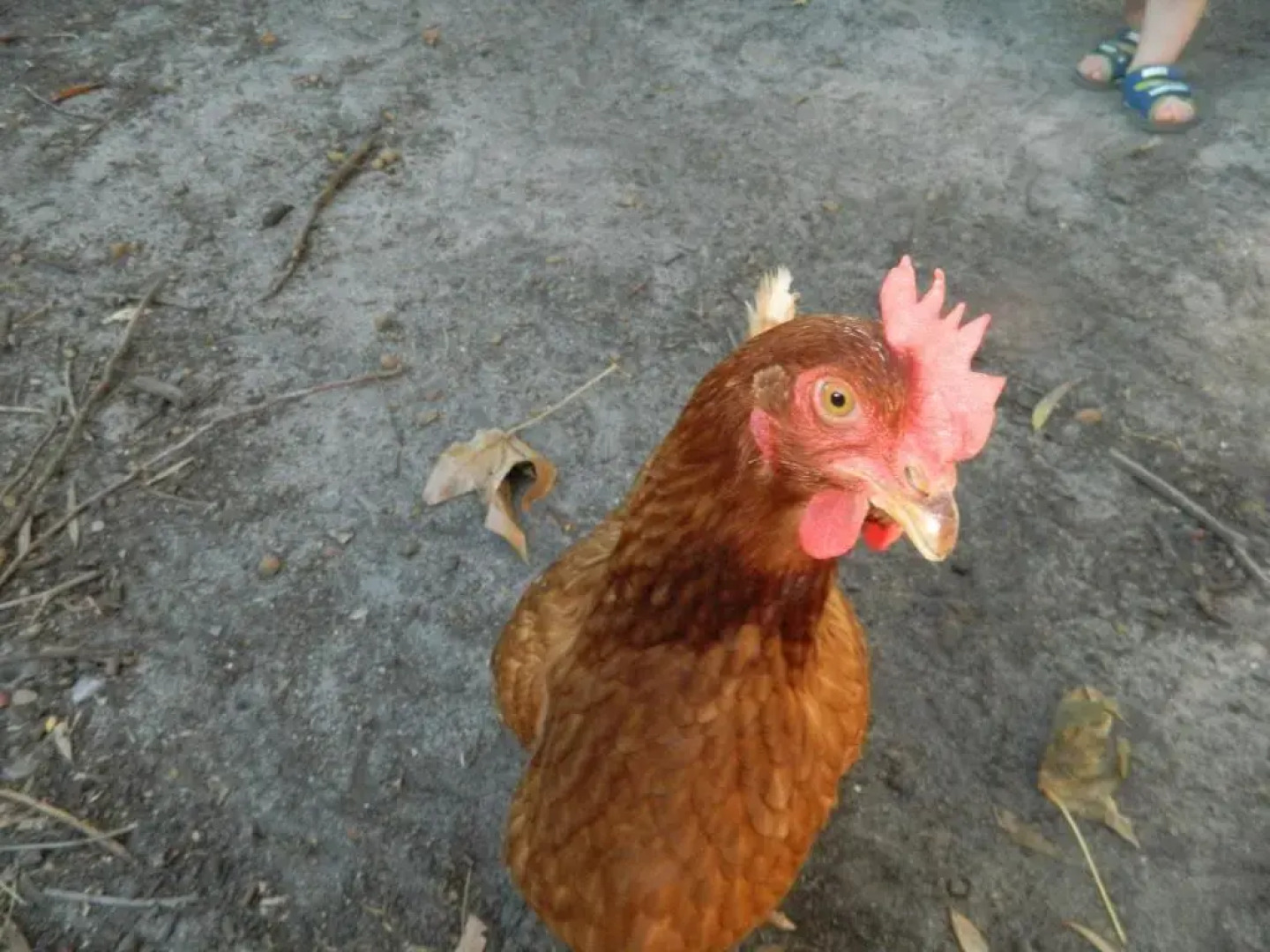 Margaret River Hideaway