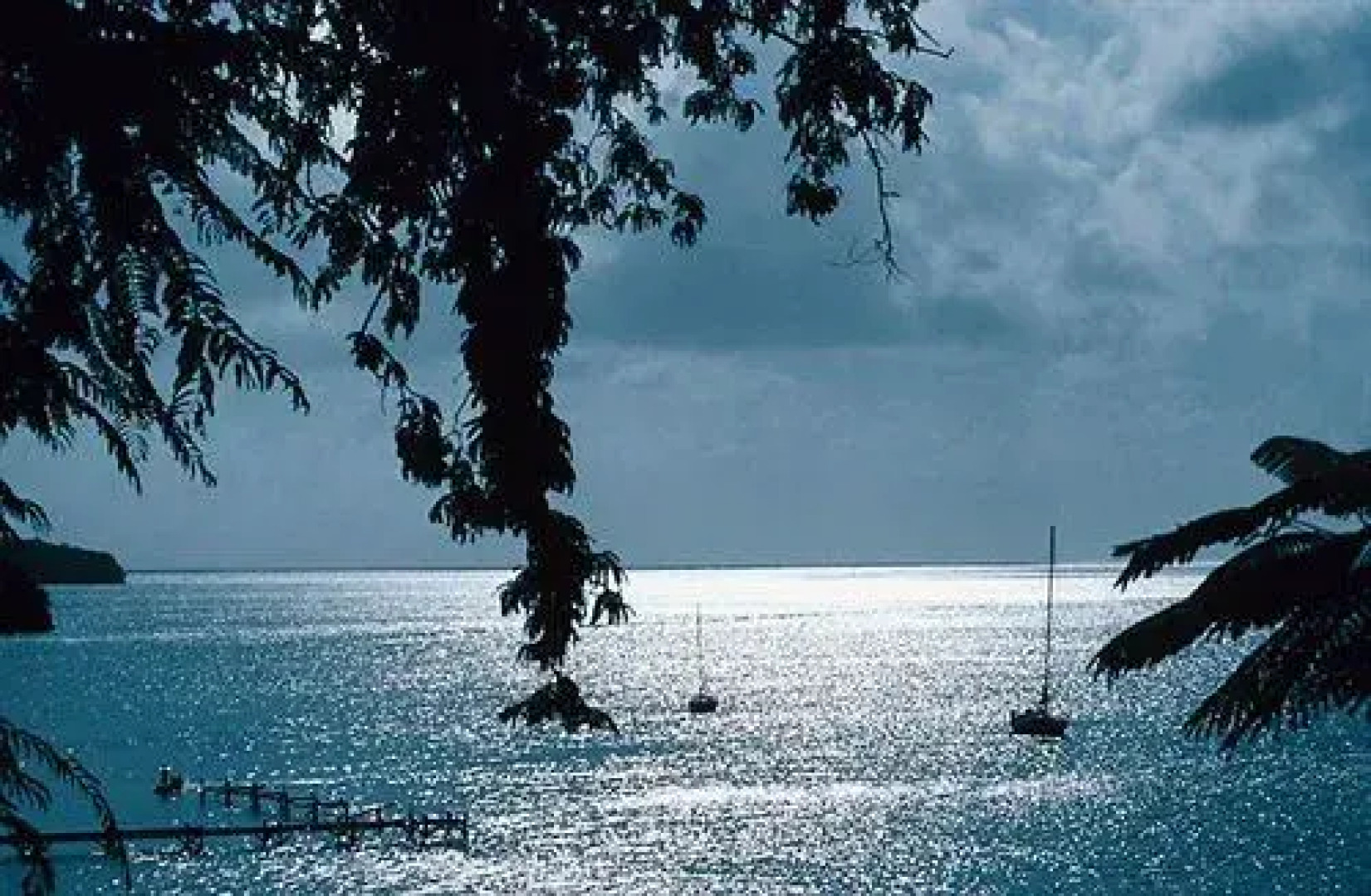 Moon Shadow Bed & Breakfast