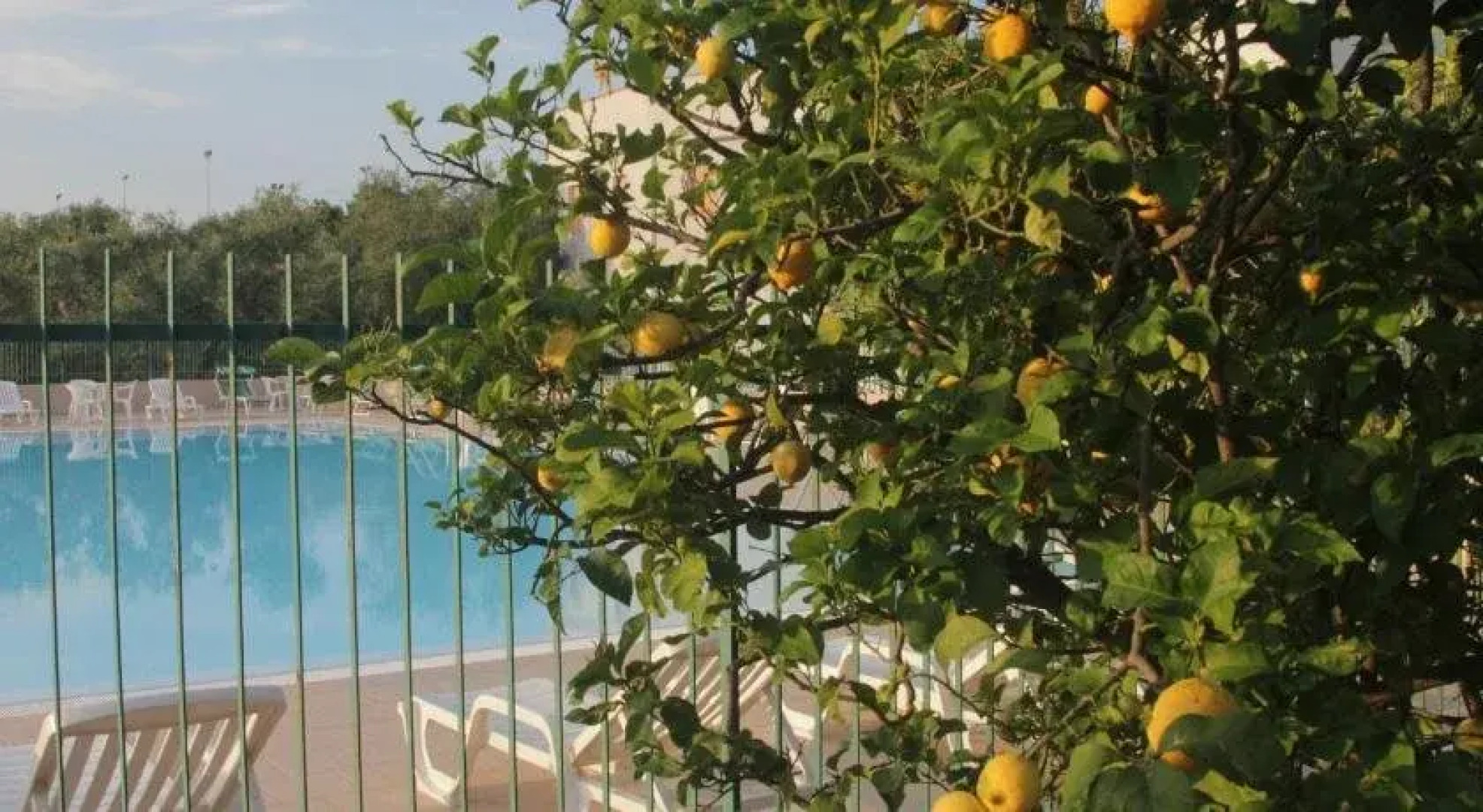 Residence Hotel Due Pini