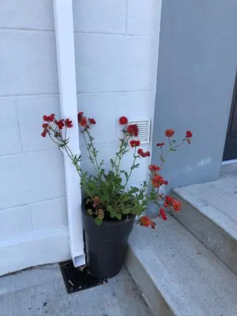 The Village Way Apartments