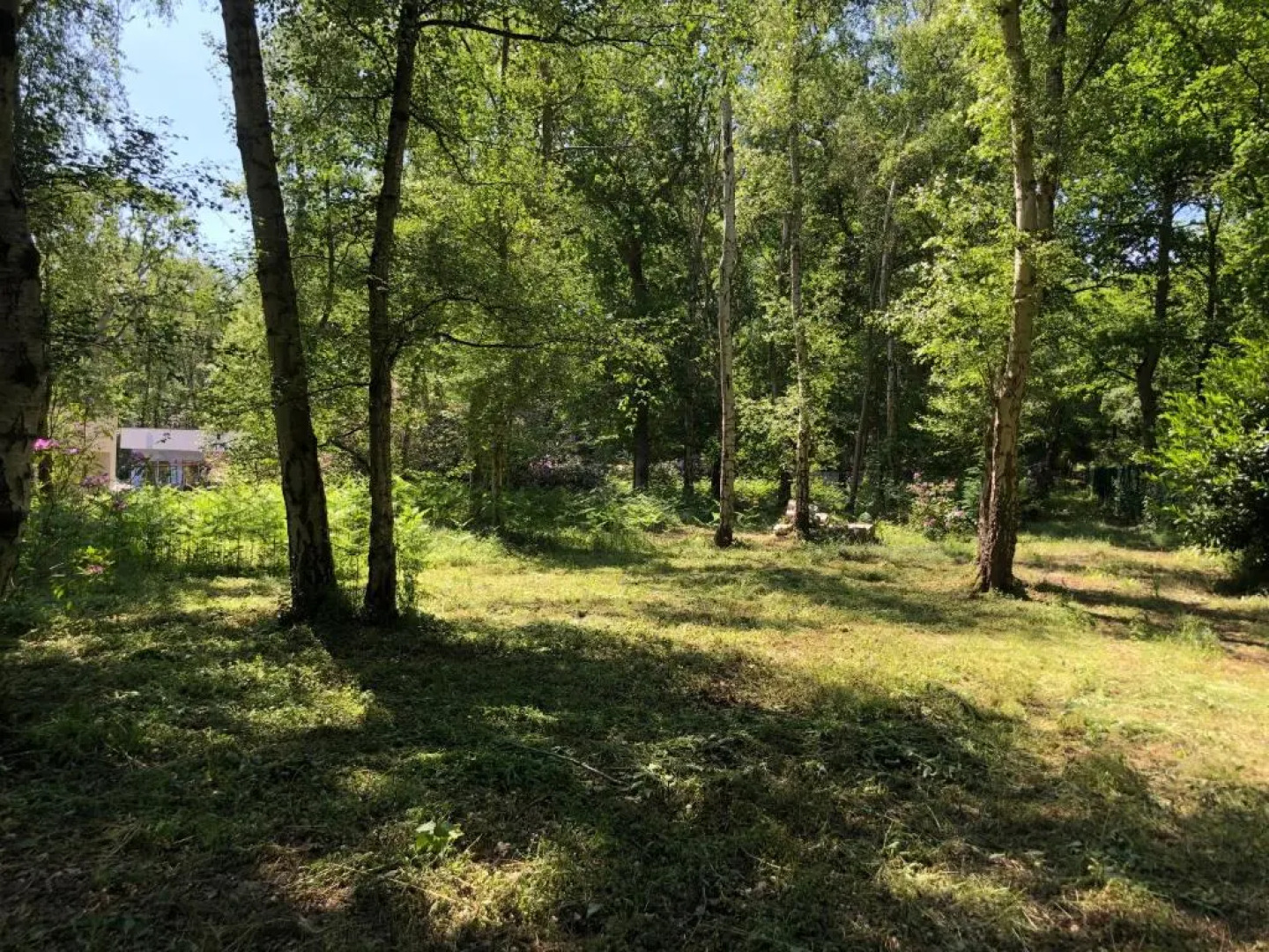 The Caduceus - Residence