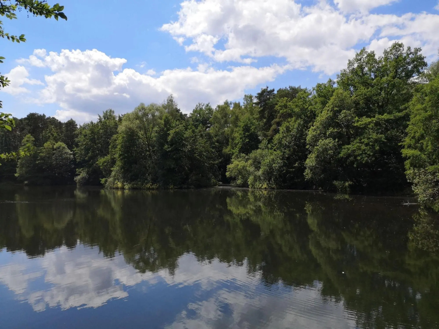 Stellar Apartment in Detmold With Garden