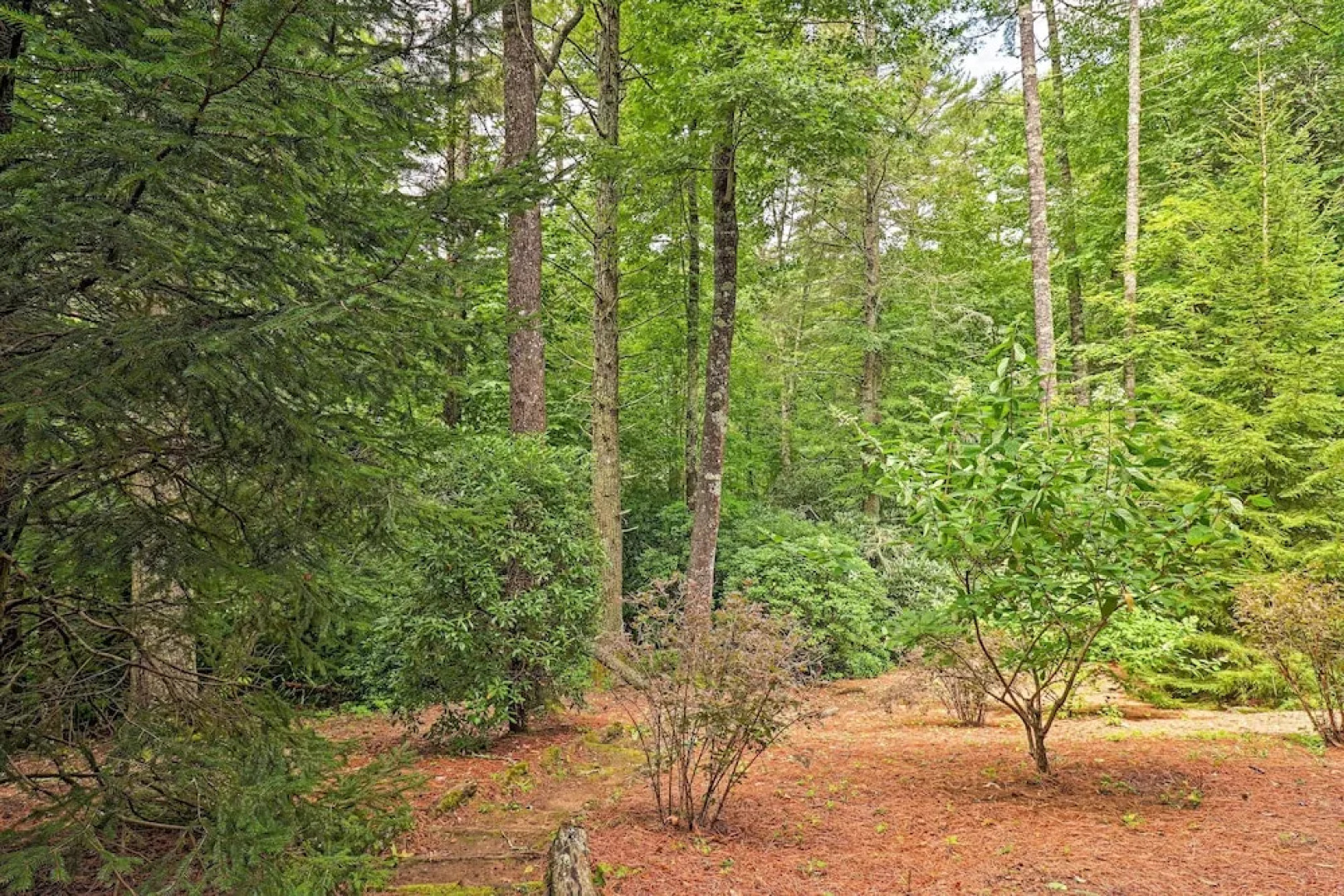 Cashiers Mountain Hideaway, Walk to Lake Glenville