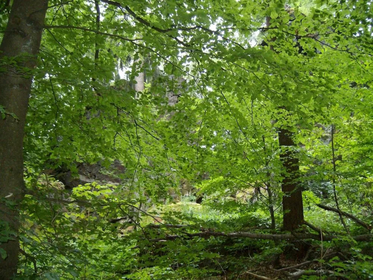 Forellenhof "Das BIO Landhaus"