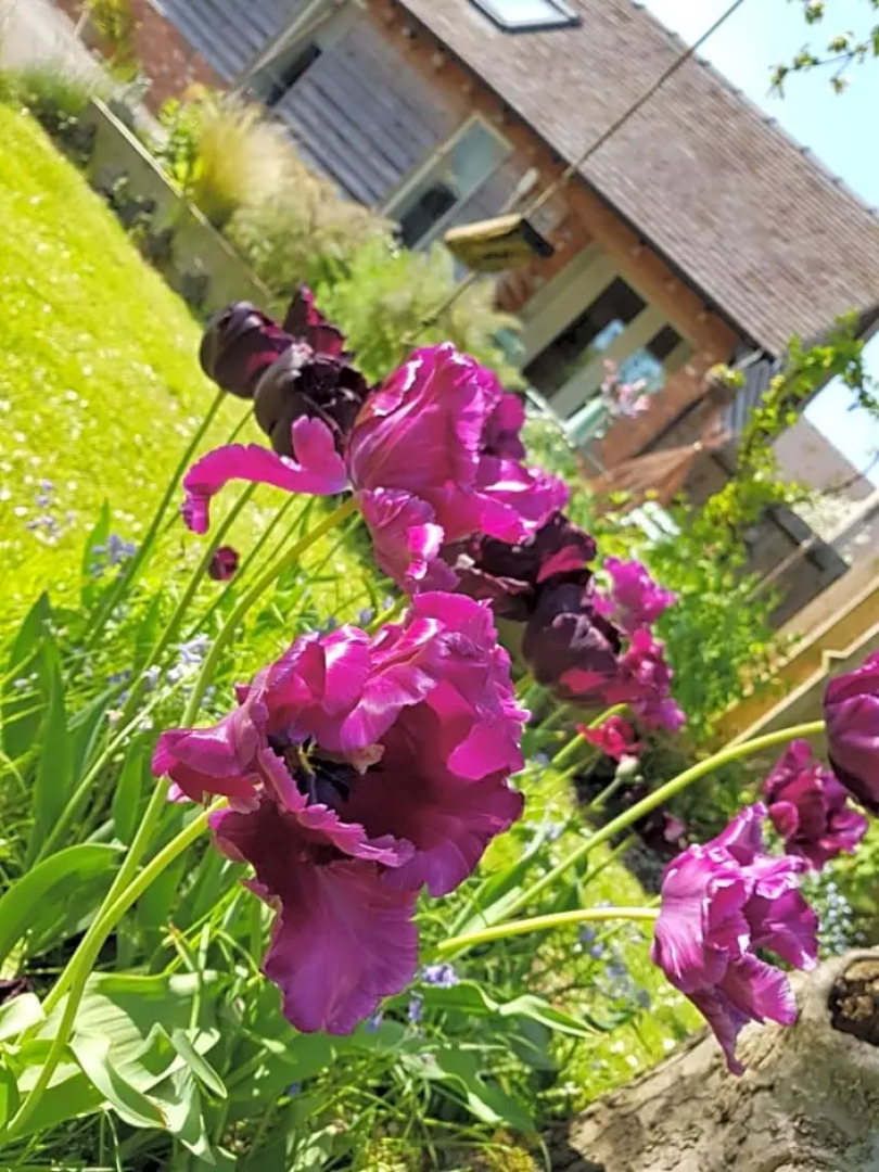 The Dorm Bed and Breakfast