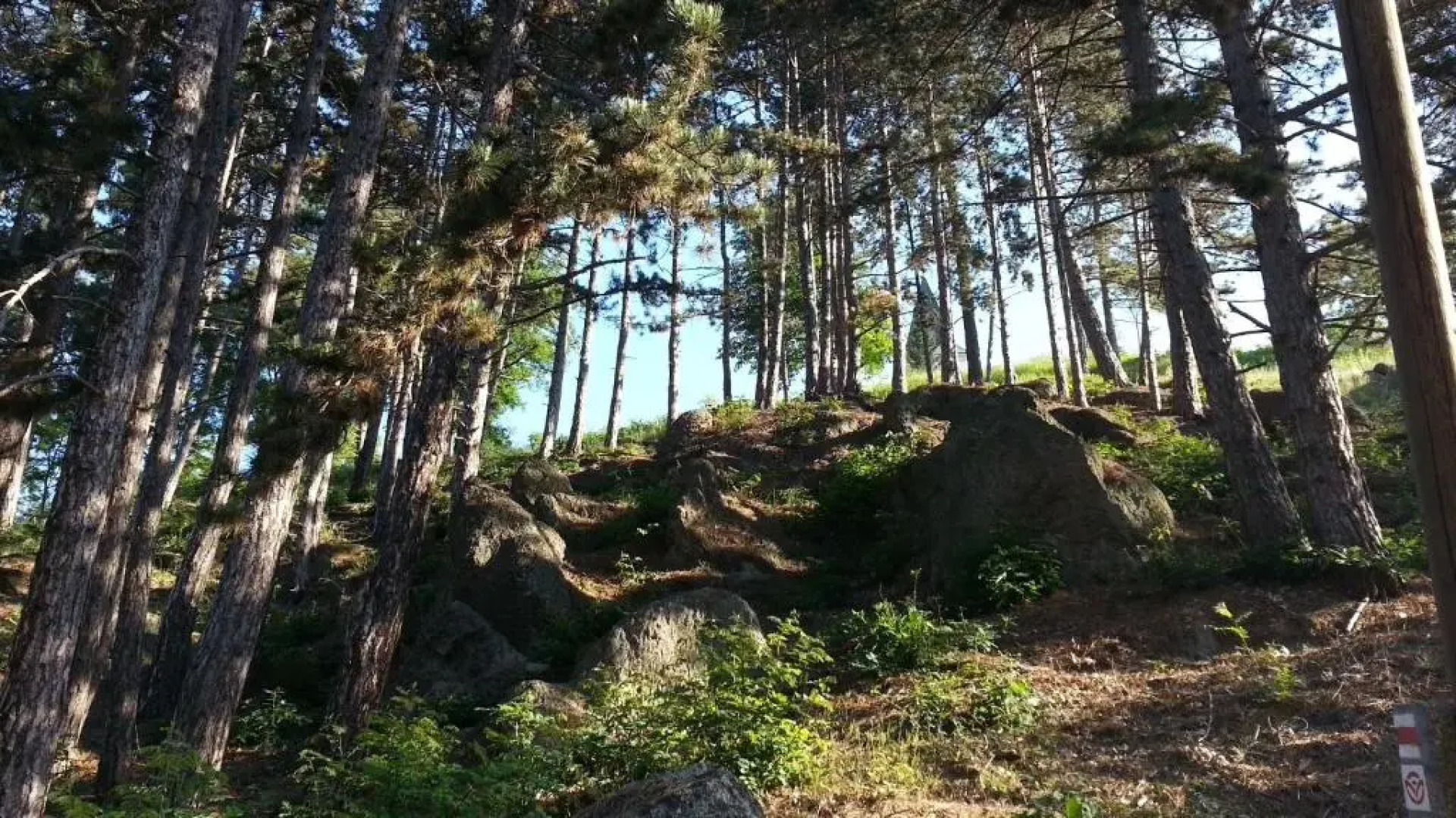 Zempléni Pitvaros Pihenő