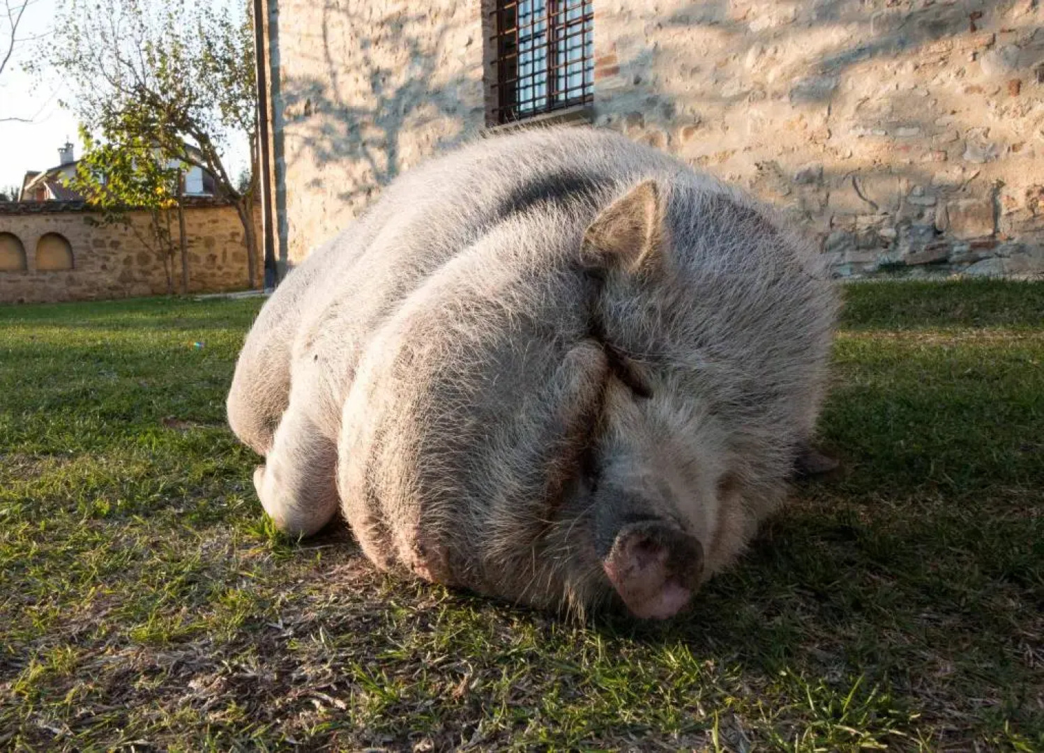 Residenza d'epoca il Biribino