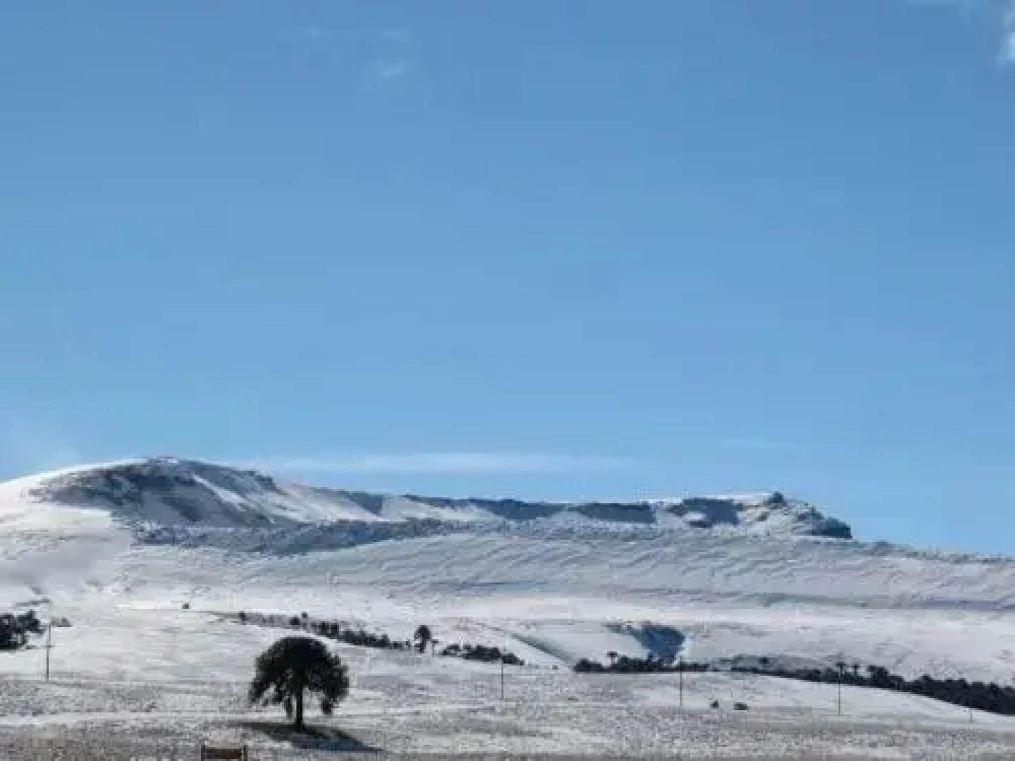 Complejo Culle Lafquen