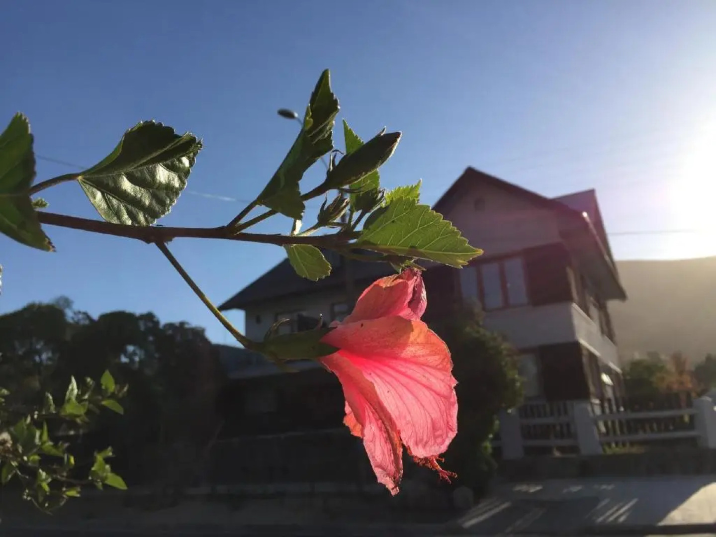 Casapapudo Boutique Hotel