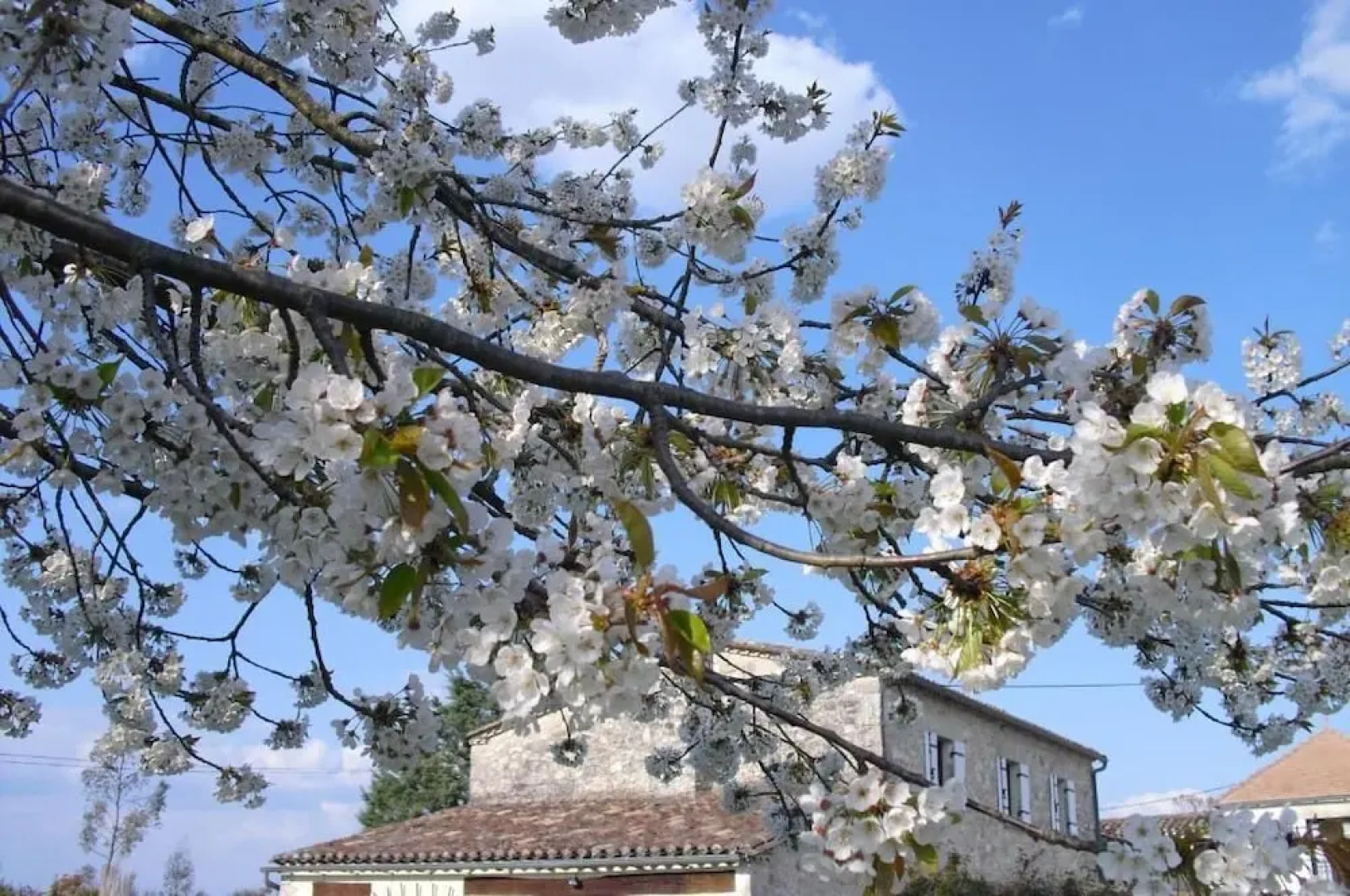 Luxe B&B Maison à Votre Santé