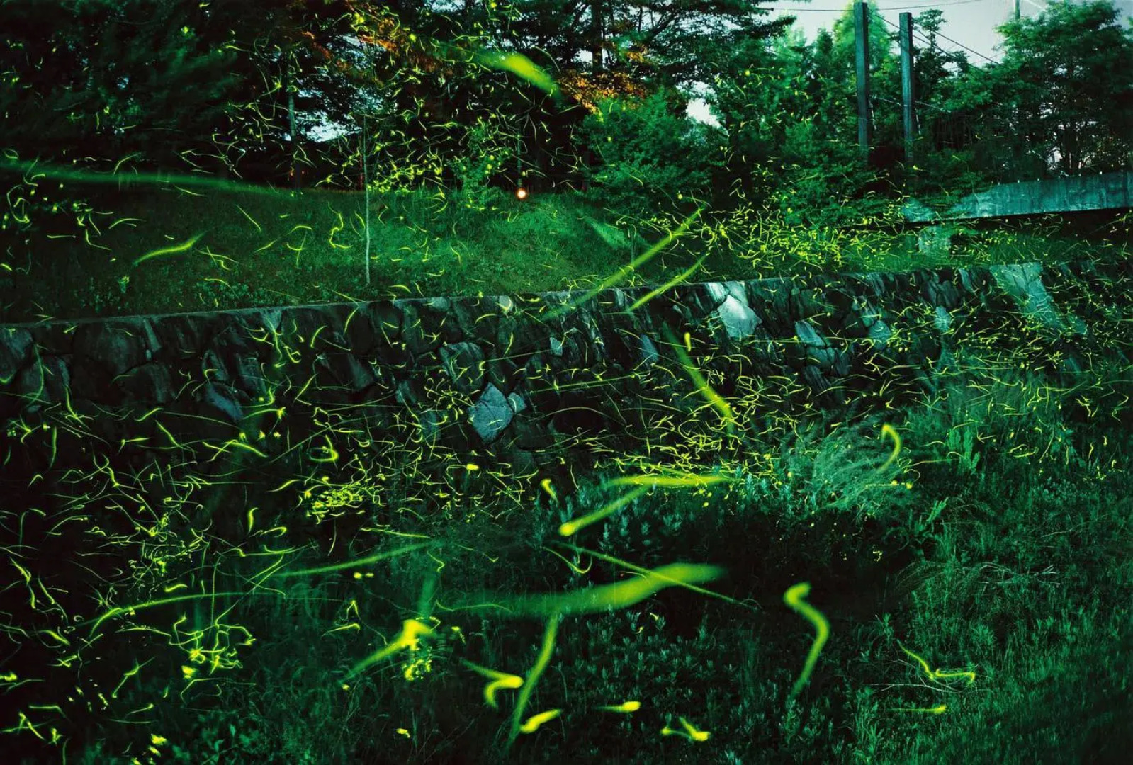 Yunosato Onsen Fukumasu-tei