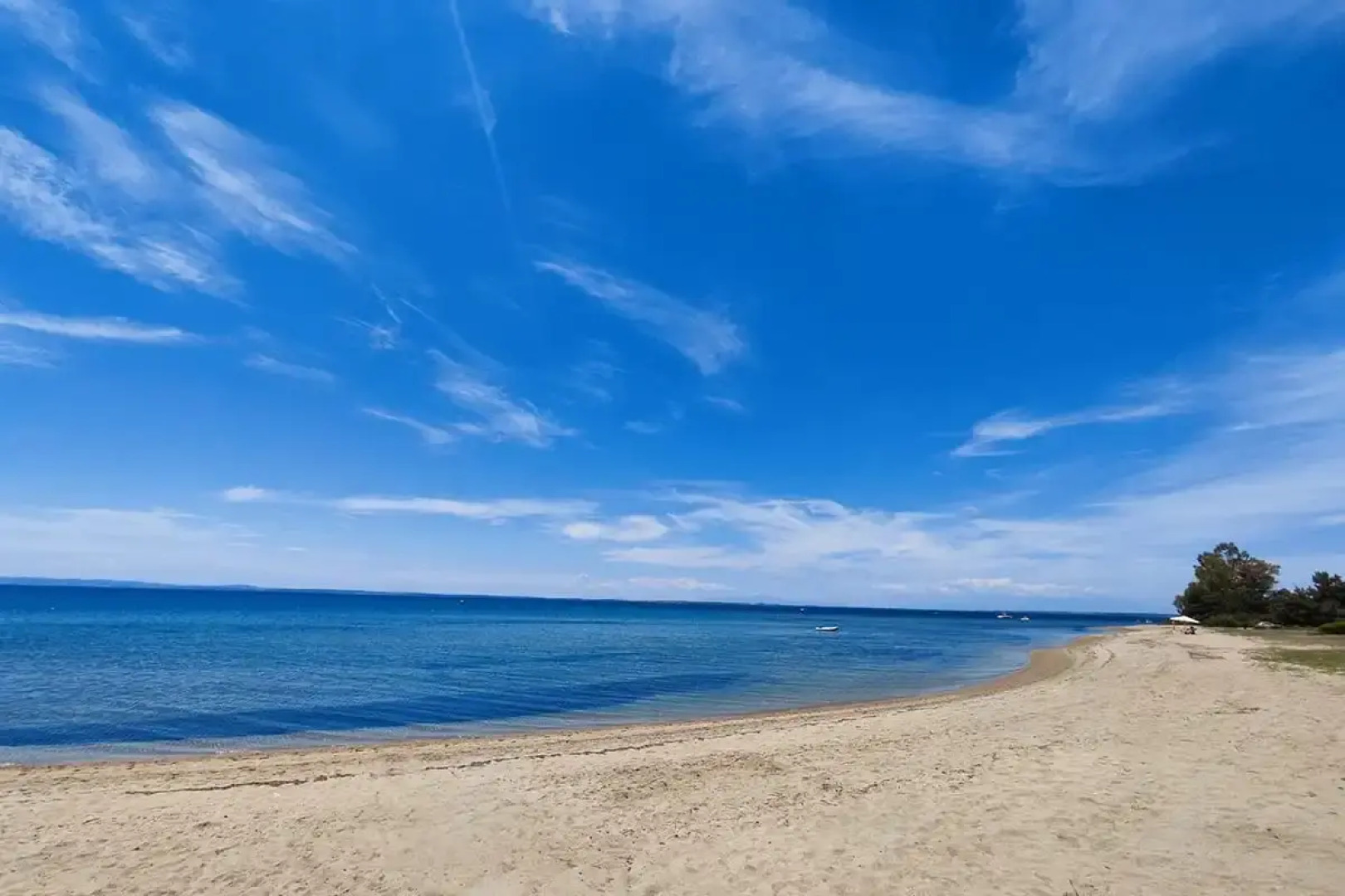 The House of The Roses