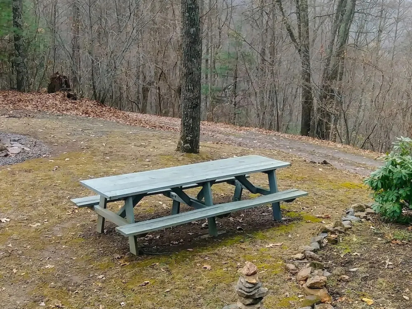 Wild Cat - 1 Br Cabin