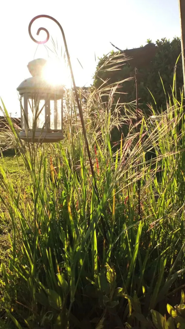 La Pause Val de Loire (20 mins - Zoo de Beauval)