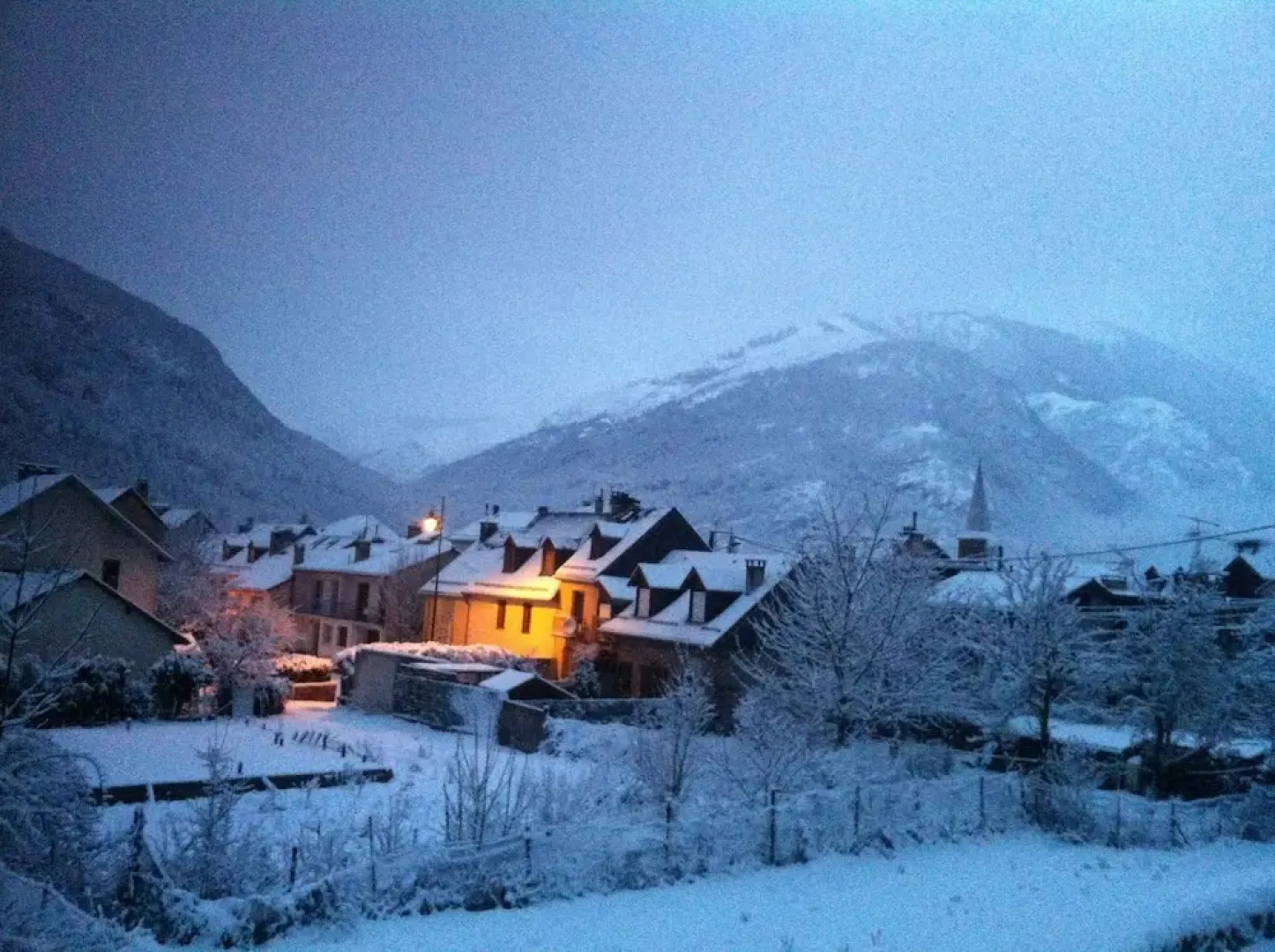 The Dreaming Tree B&B