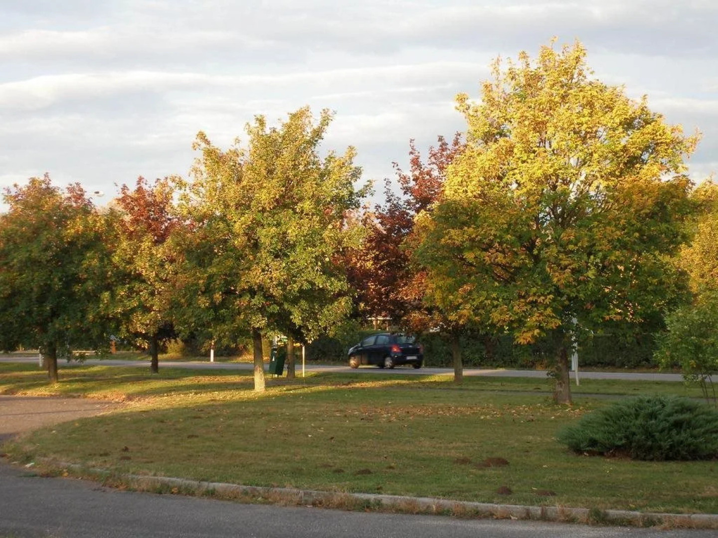 Thermal Panzió Sárvár